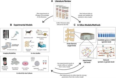 Immuno-Modulatory Effects of Intervertebral Disc Cells